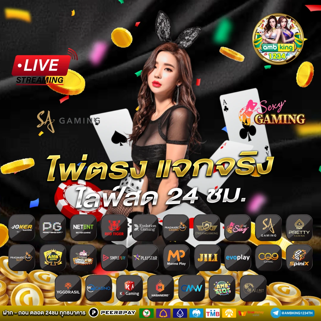 pgสล็อต ฝาก-ถอน true wallet - แบนเนอร์โปรโมชั่น
